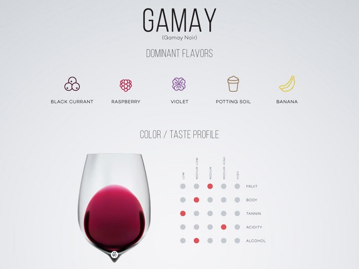 Rượu vang đỏ Gamay