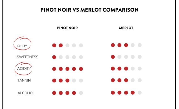 So-sanh-Merlot-voi-Pinot-Noir