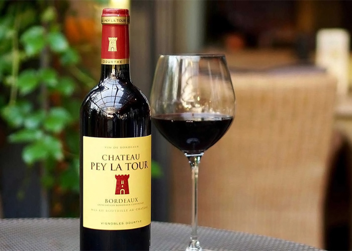 Rượu vang Chateau Pey La Tour 2019 1.5L