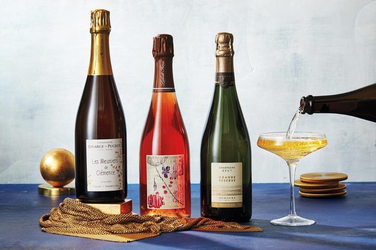Nho-Pinot_Meunier-champagne-ngon
