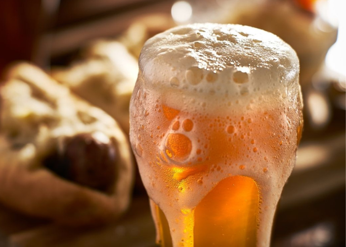 Bia Prazacka Pale Lager 4.9% – Bom 5 Lit